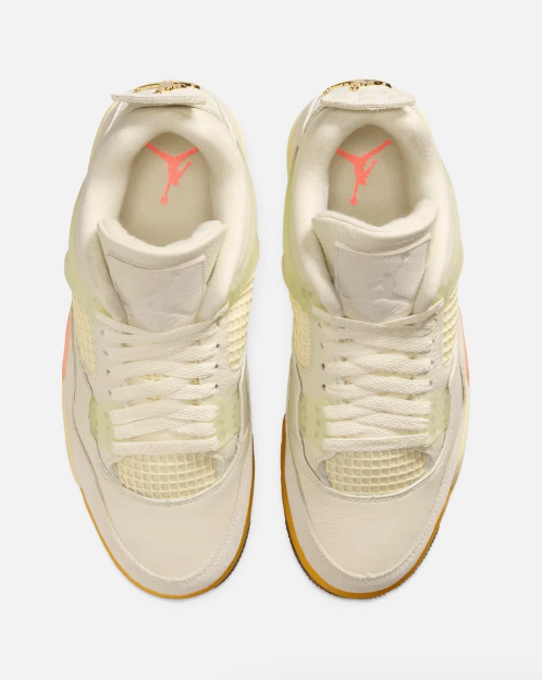 Air Jordan 4 Retro 'Birds of Paradise' (Women's)